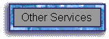 Other Services